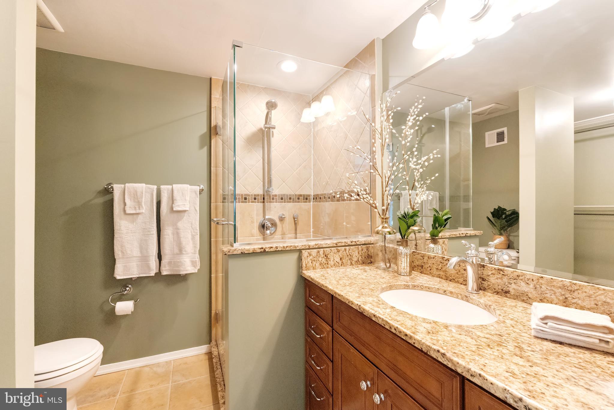 1512 Poplar Grove Drive Reston, VA 20194 - Photo 18 of 70 a bathroom with a granite countertop sink and a mirror