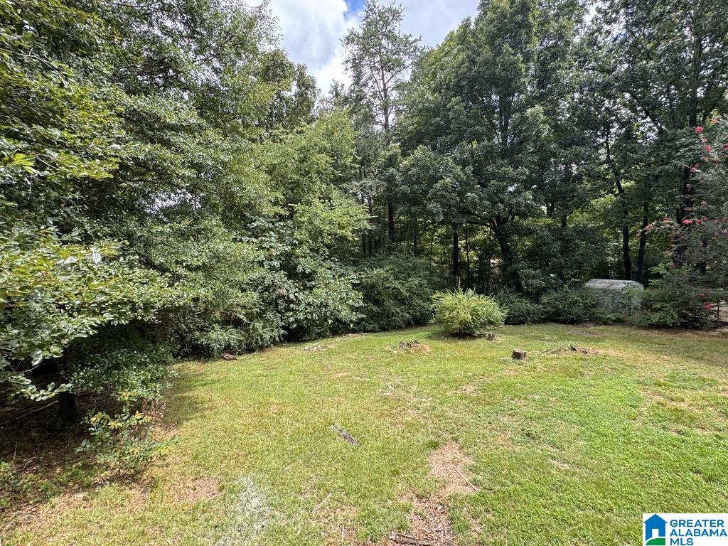 6043 Red Hollow Road Birmingham, AL 35215 - Photo 56 of 58