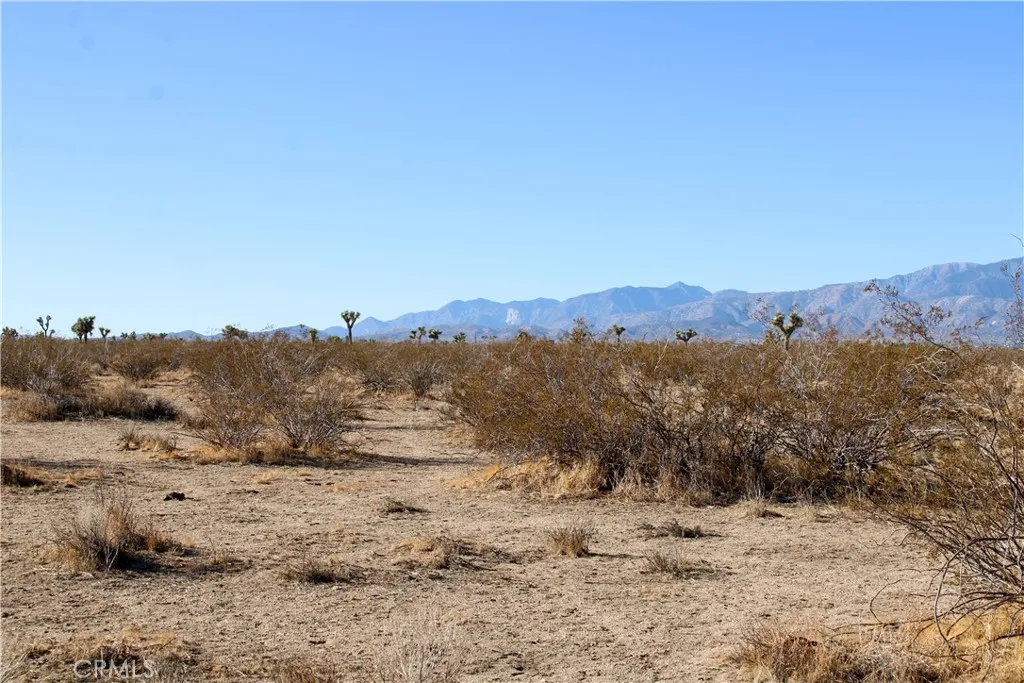 11 Sacramento Road Phelan, CA 92371 - Photo 7 of 13 a view of a dry field