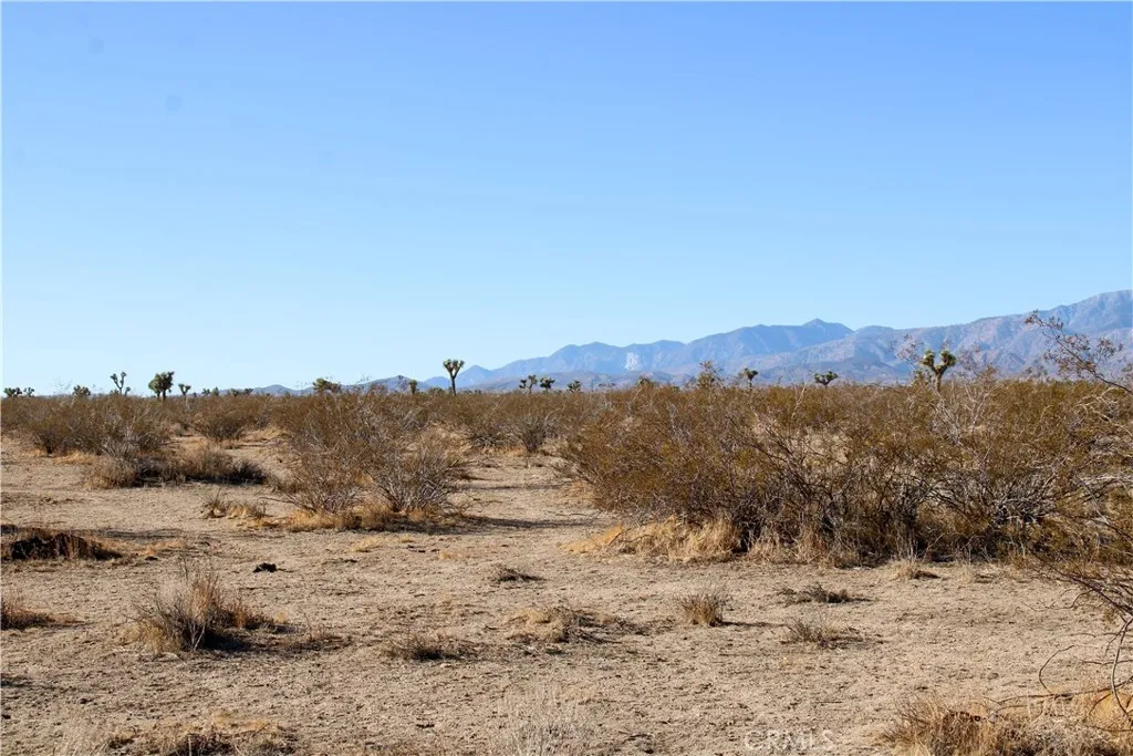 11 Sacramento Road Phelan, CA 92371 - Photo 8 of 13 a view of a dry field with mountains in the background