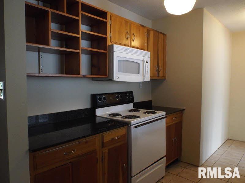 50 Pineview Road Carbondale, IL 62901 - Photo 7 of 21