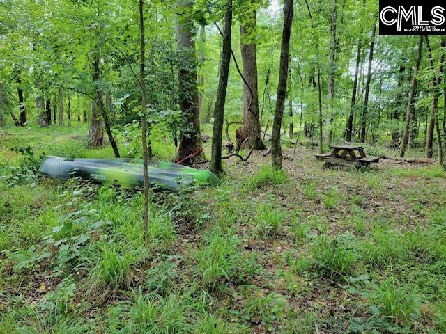 317 Horse Cove Road Gilbert, SC 29054 - Photo 38 of 93 a view of backyard