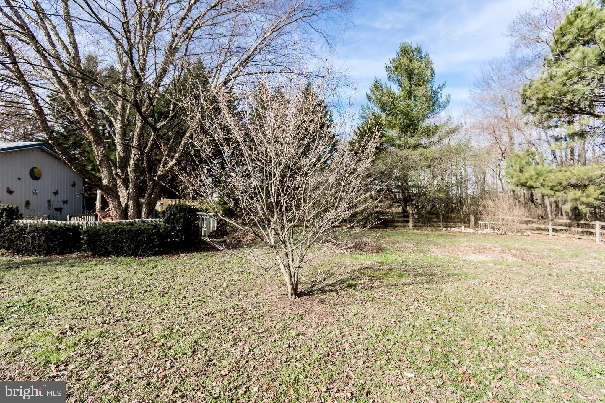 2293 Fords Corner Road Hartly, DE 19953 - Photo 11 of 47 a view of yard with tree