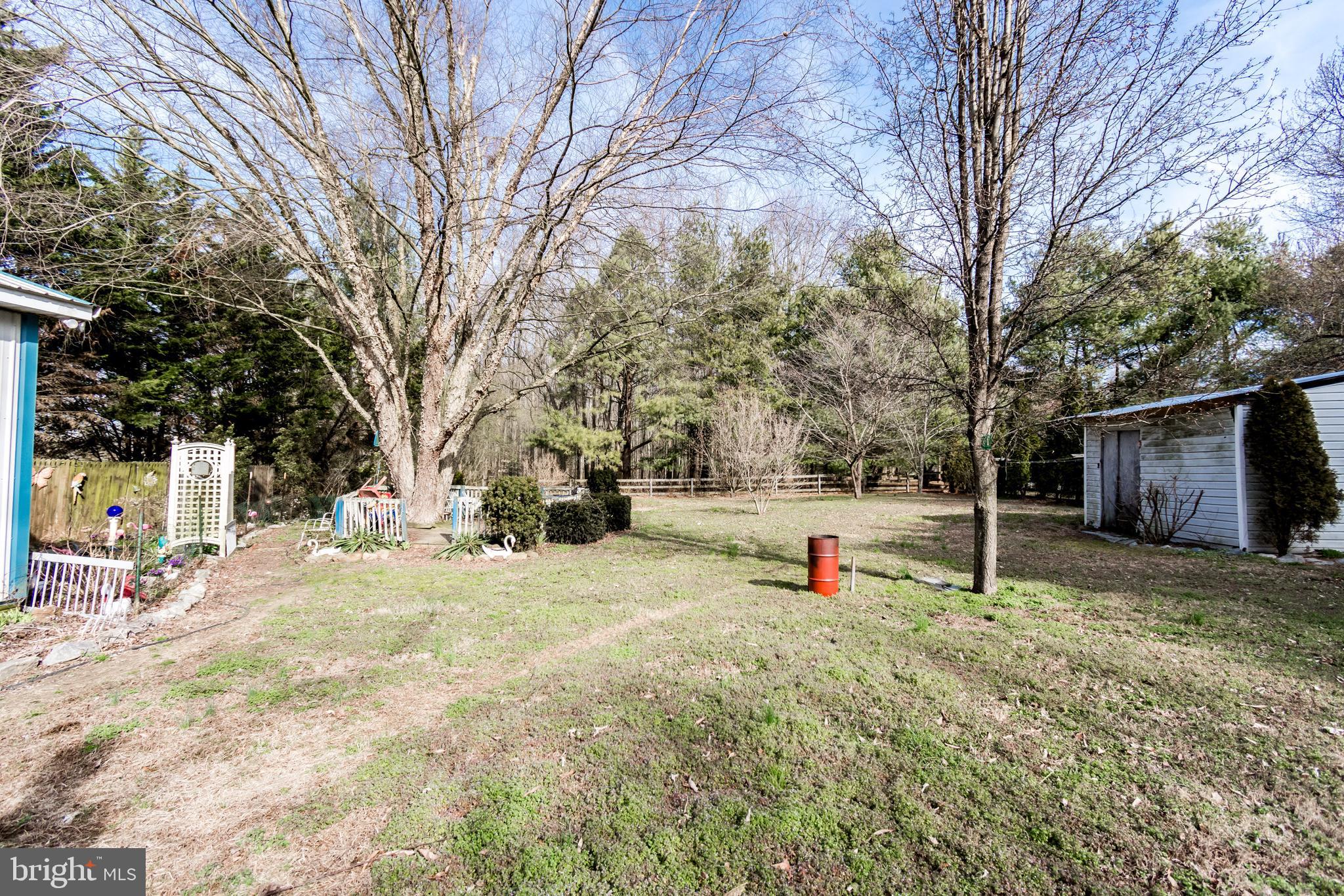 2293 Fords Corner Road Hartly, DE 19953 - Photo 5 of 47 a view of road with large trees
