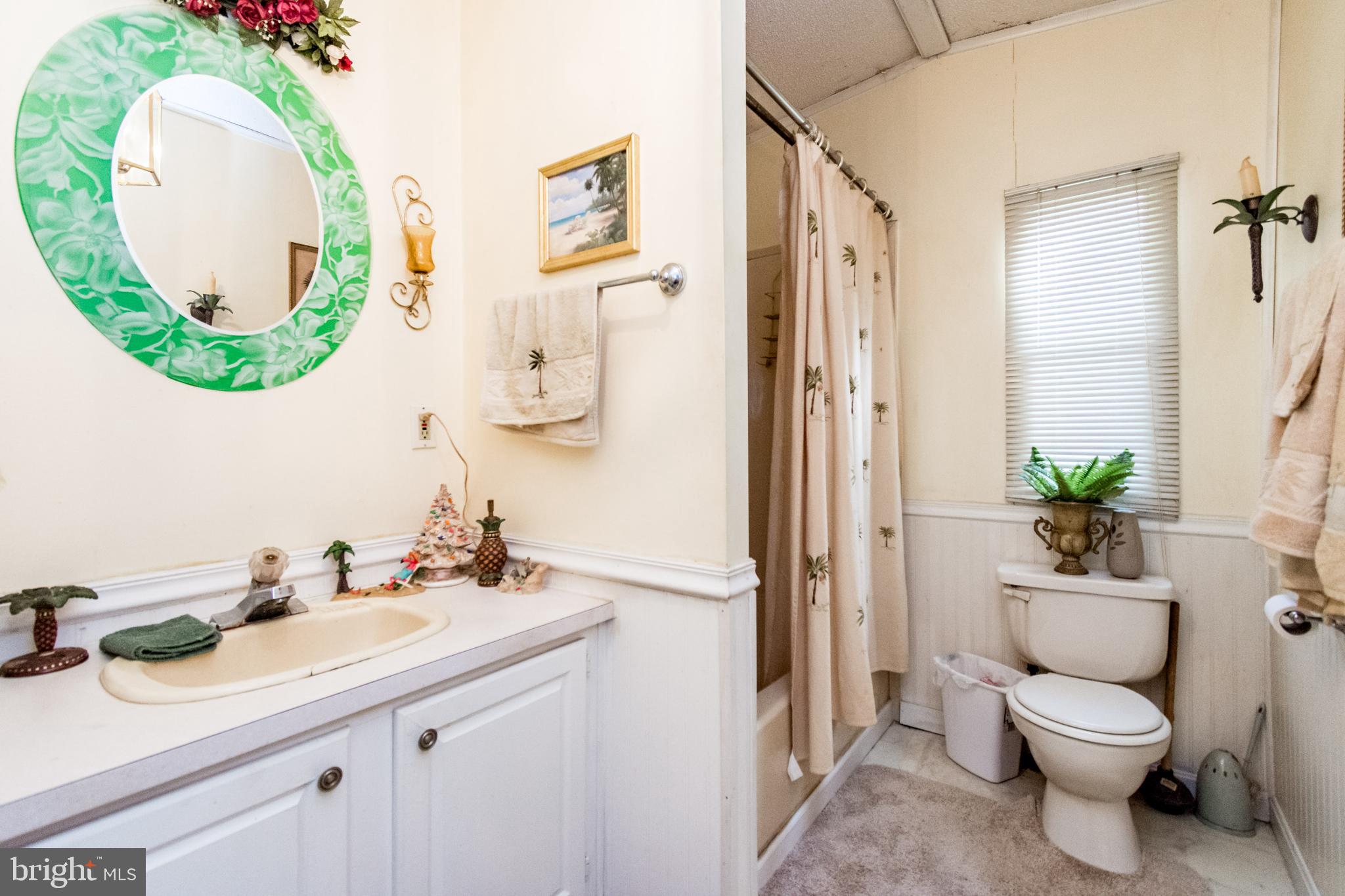 2293 Fords Corner Road Hartly, DE 19953 - Photo 43 of 47 a bathroom with a sink mirror and toilet