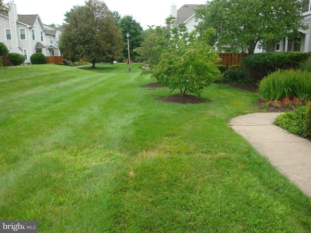 a view of outdoor space and window