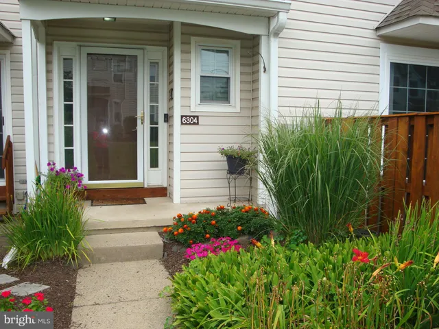 a view of a potted flower in a yard with swimming pool