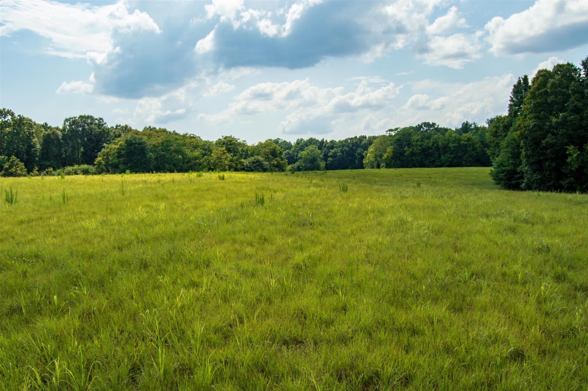1080 Johnson Branch Road Pulaski, TN 38478 - Photo 1 of 30