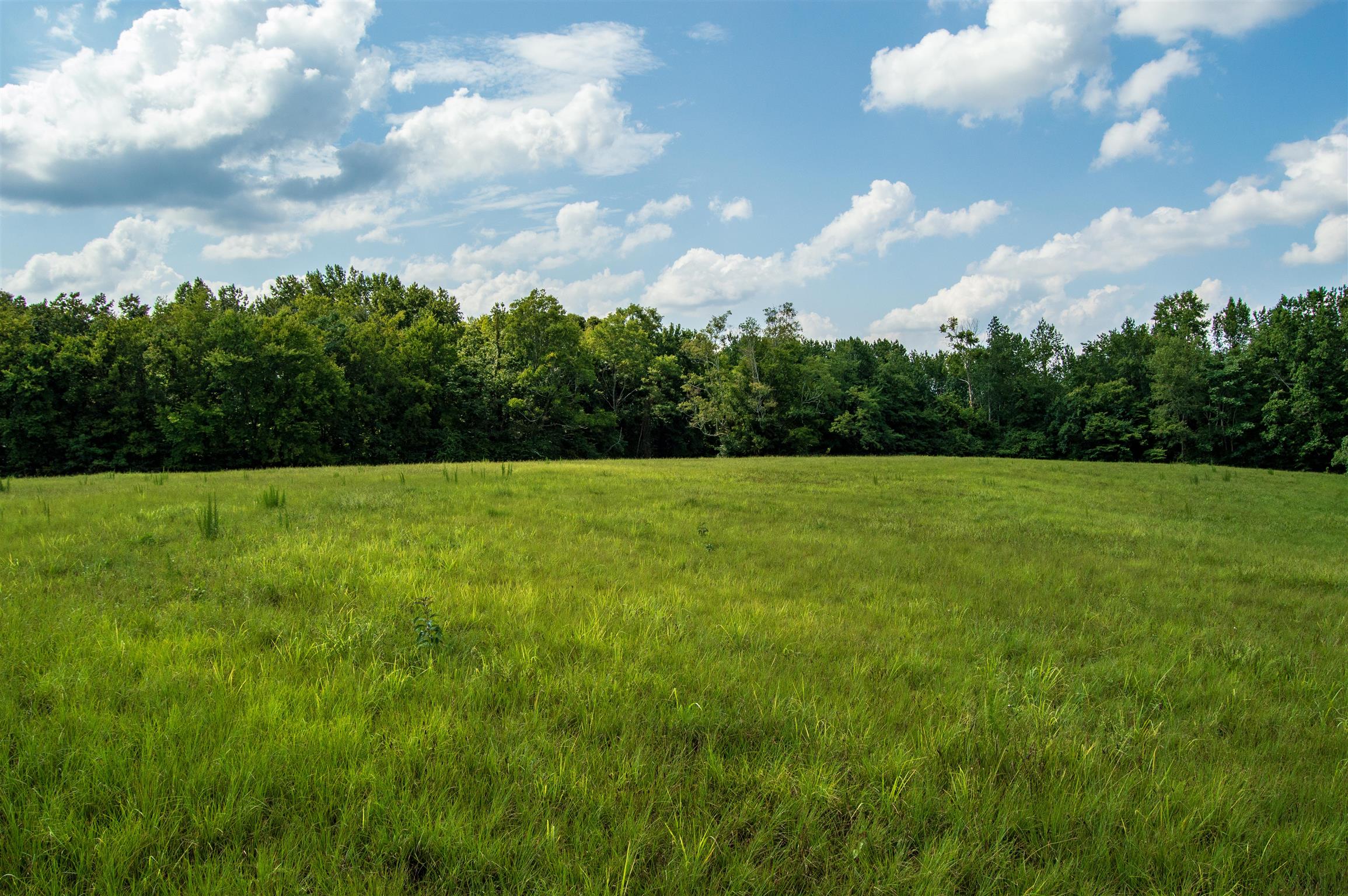 1080 Johnson Branch Road Pulaski, TN 38478 - Photo 2 of 30