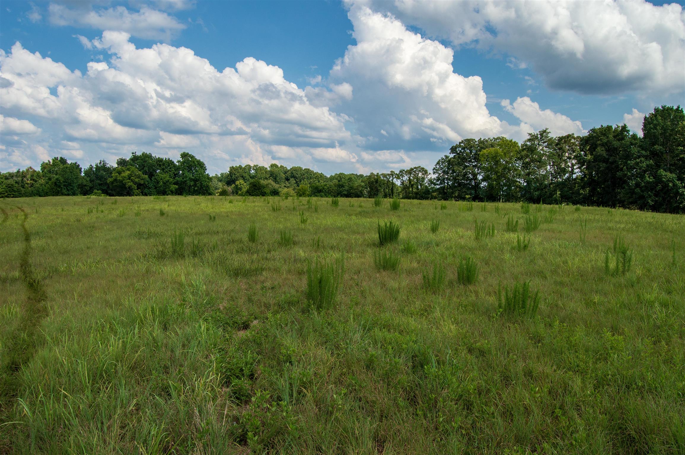 1080 Johnson Branch Road Pulaski, TN 38478 - Photo 3 of 30