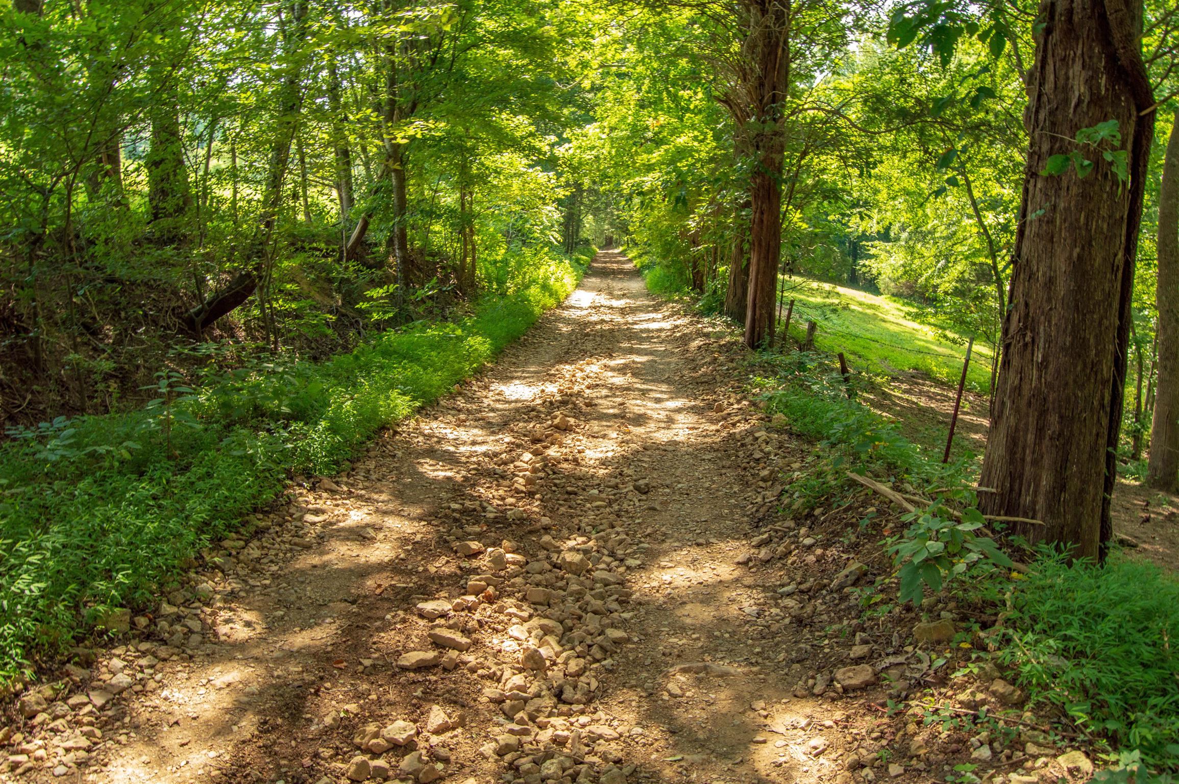 1080 Johnson Branch Road Pulaski, TN 38478 - Photo 5 of 30