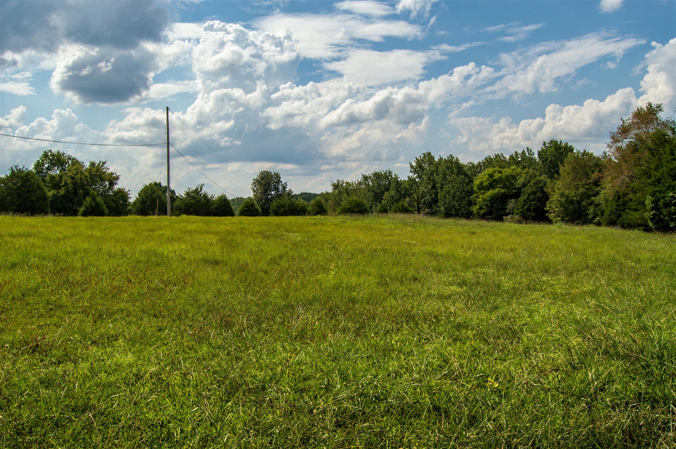1080 Johnson Branch Road Pulaski, TN 38478 - Photo 6 of 30