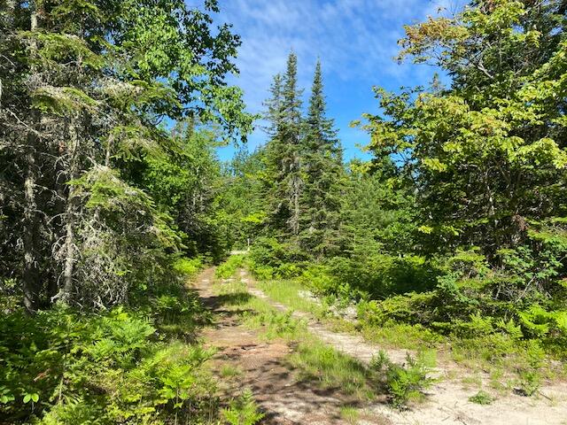 9600 North Whitefish Point Road Paradise, MI 49768 - Photo 15 of 16 Gallery Image 15