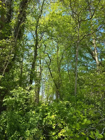 $70,000 | 0 Winterville Road, Bloxom, VA 23308