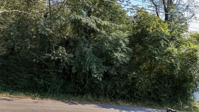 $80,000 | 203 Thueler Street, Chattanooga, TN 37415