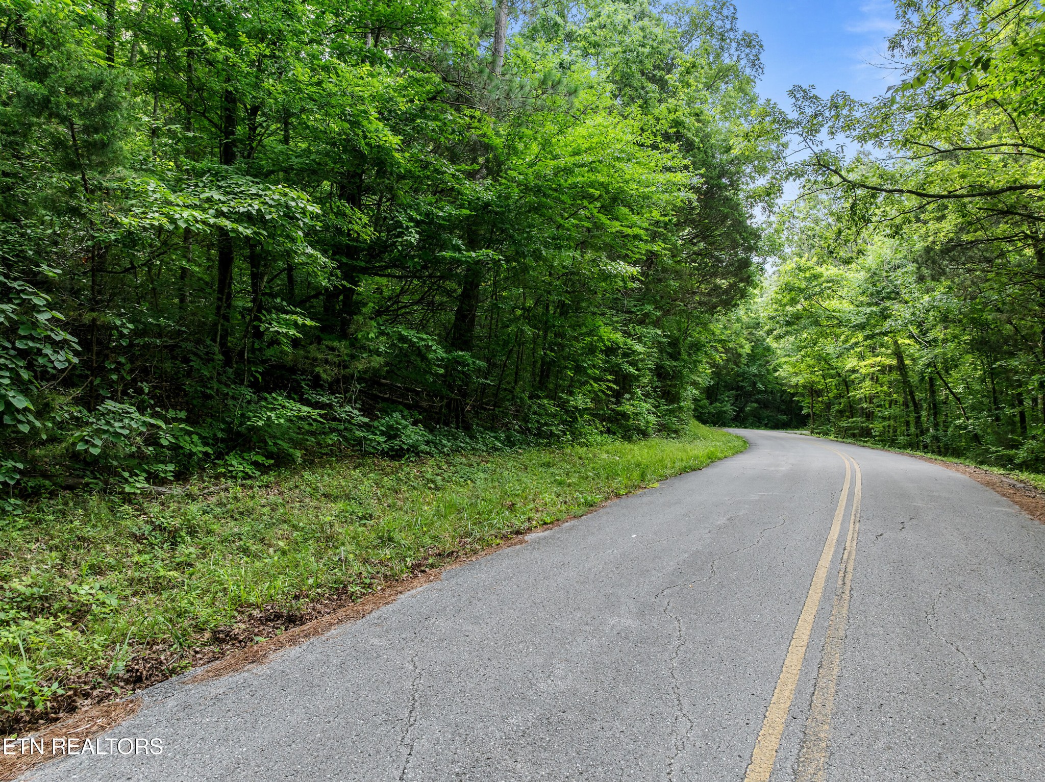0 Turners Bend Road McMinnville, TN 37110 - Photo 4 of 15