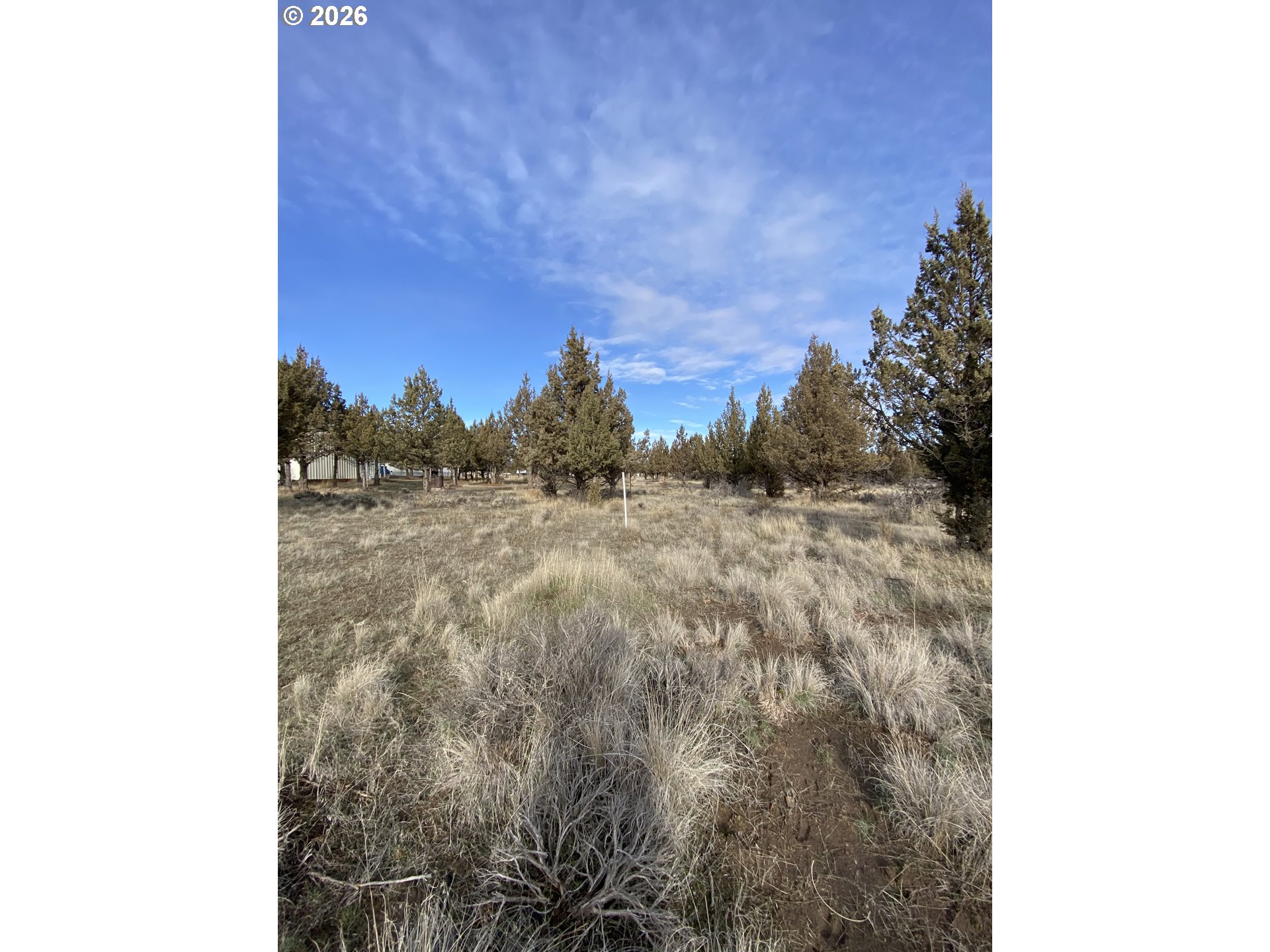 Southwest Drake Drive Culver, OR 97734 - Photo 4 of 7