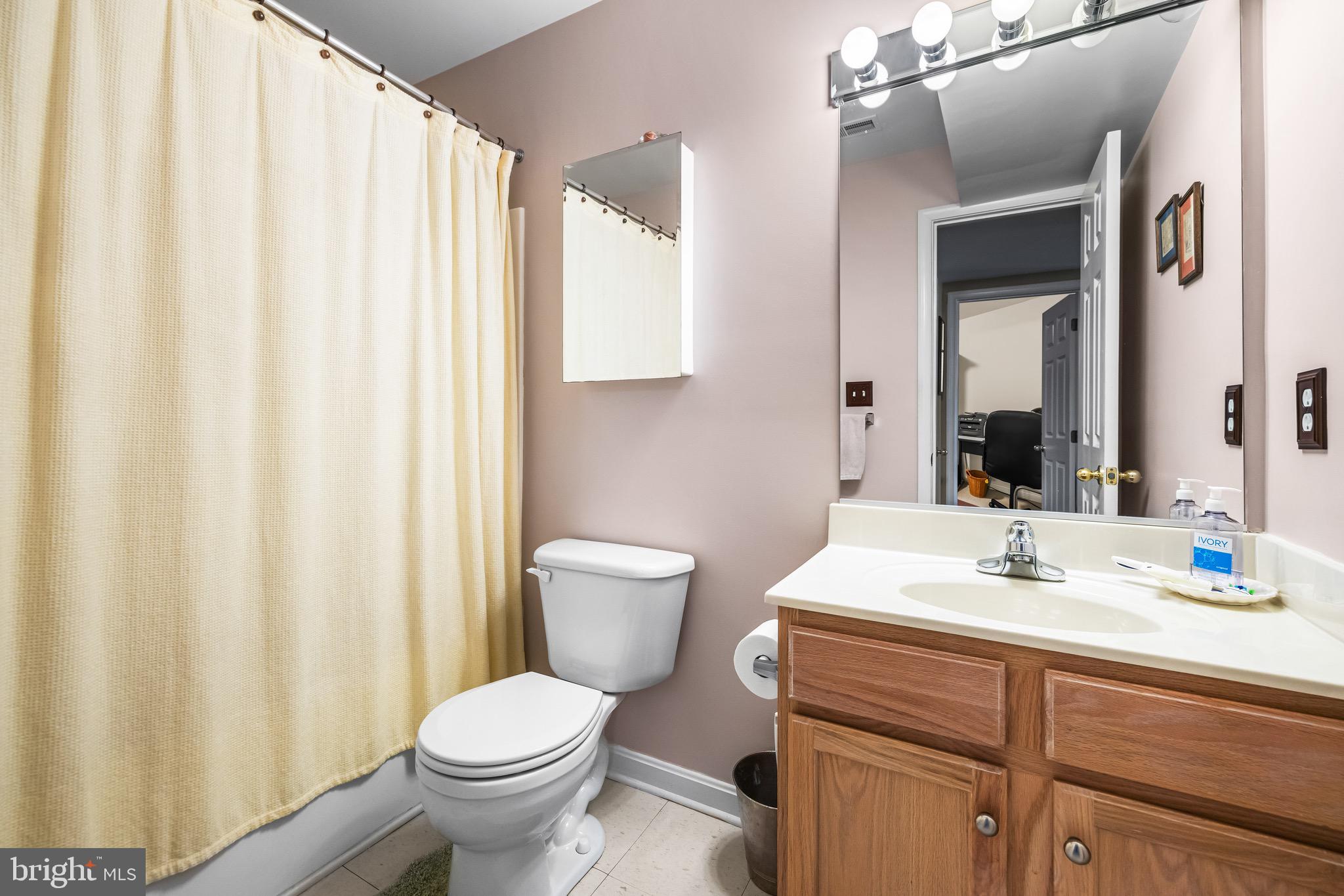 1713 Mystic Circle Baltimore, MD 21221 - Photo 29 of 37 a bathroom with a toilet a sink and a mirror