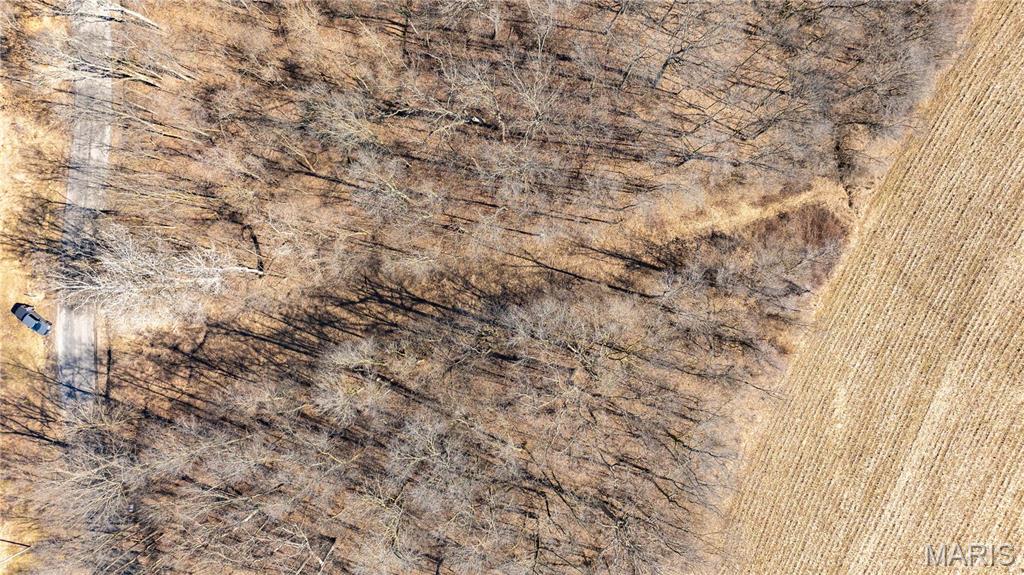 0 Irish Lane Brighton, IL 62012 - Photo 4 of 10