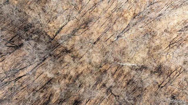 $55,000 | 0 Irish Lane, Brighton, IL 62012