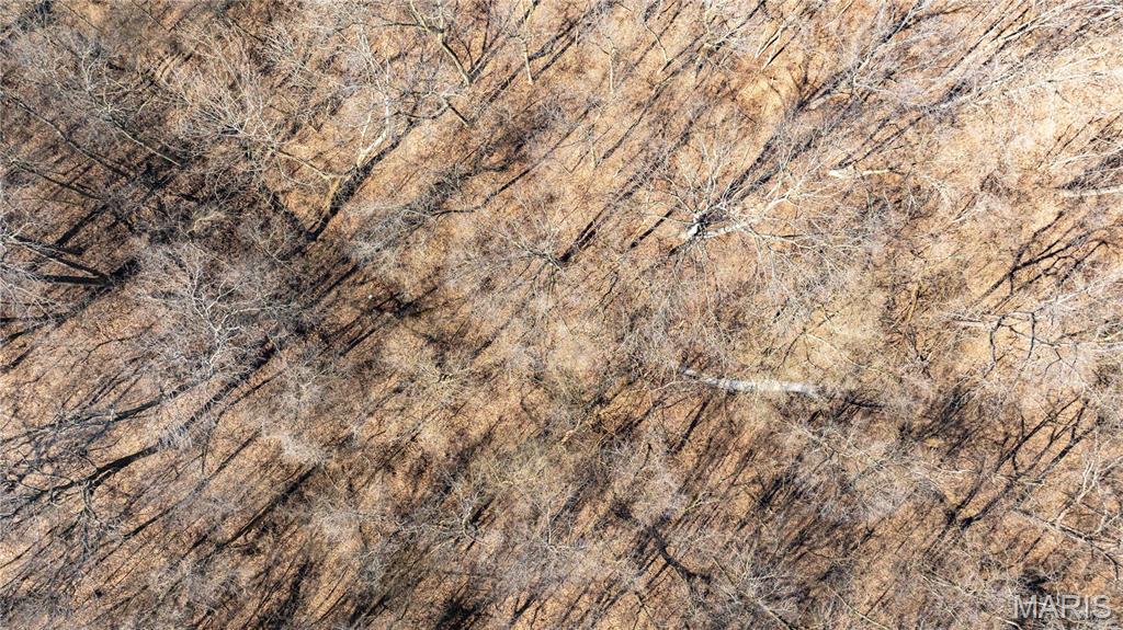 0 Irish Lane Brighton, IL 62012 - Photo 5 of 10