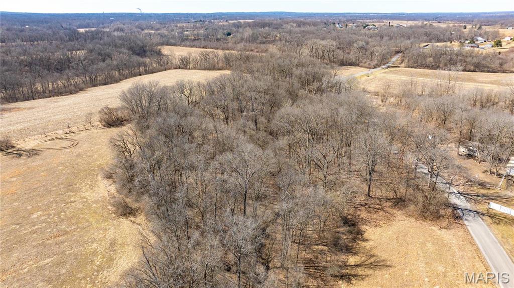 0 Irish Lane Brighton, IL 62012 - Photo 6 of 10