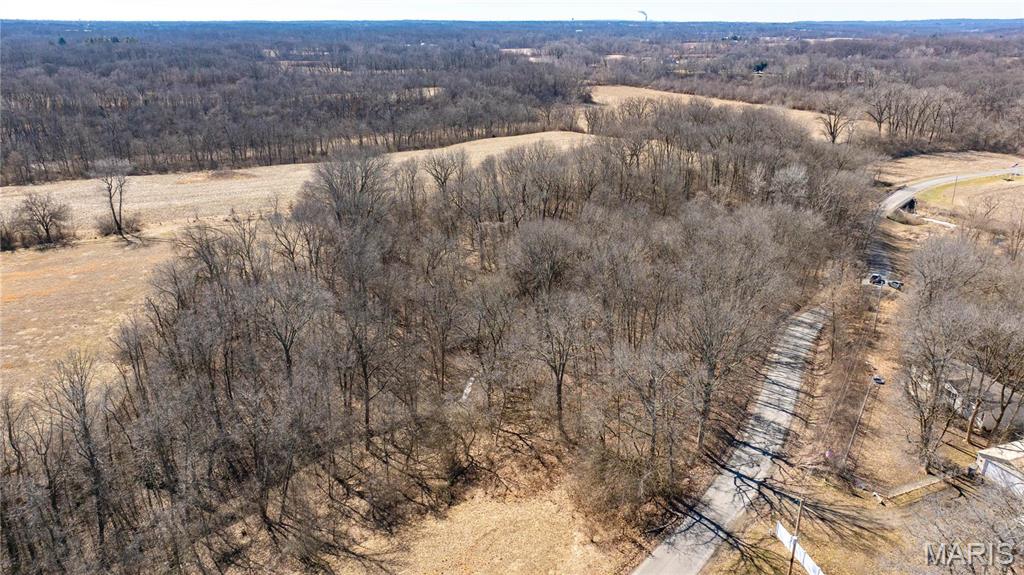 0 Irish Lane Brighton, IL 62012 - Photo 7 of 10