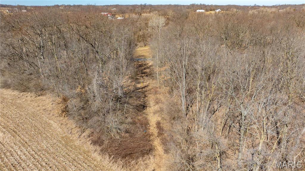 0 Irish Lane Brighton, IL 62012 - Photo 8 of 10