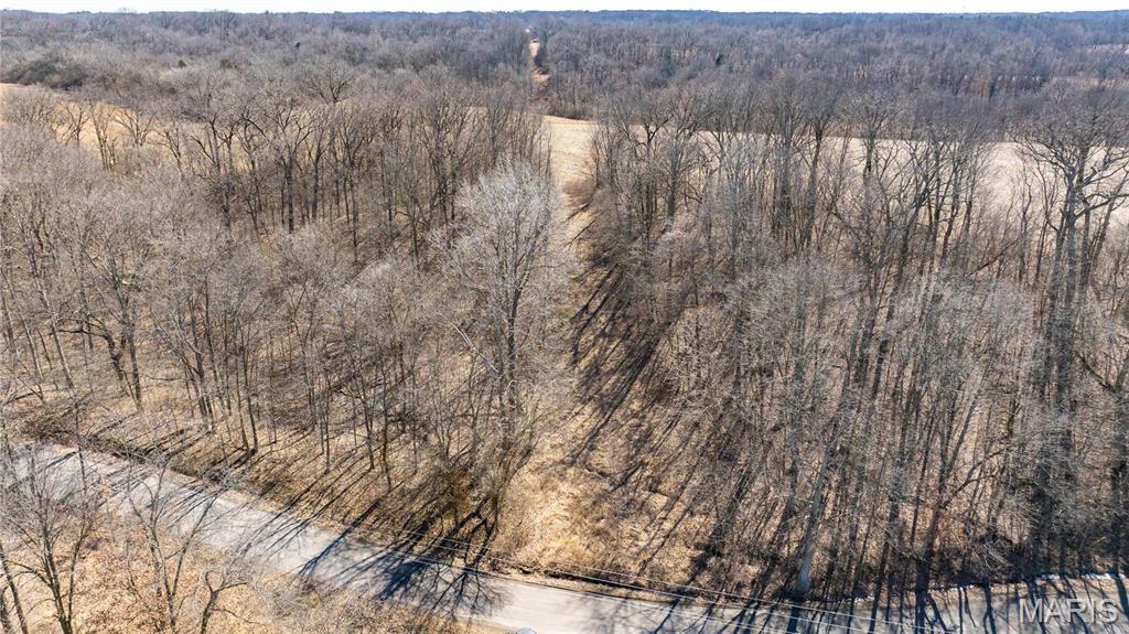 0 Irish Lane Brighton, IL 62012 - Photo 9 of 10