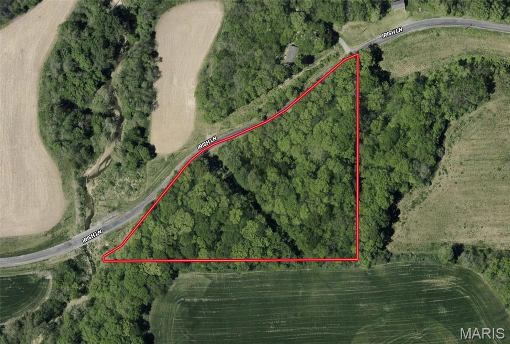 0 Irish Lane Brighton, IL 62012 - Photo 10 of 10