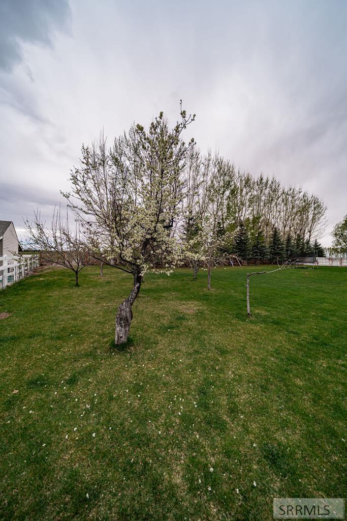 4 North 3700 East Rigby, ID 83442 - Photo 64 of 68