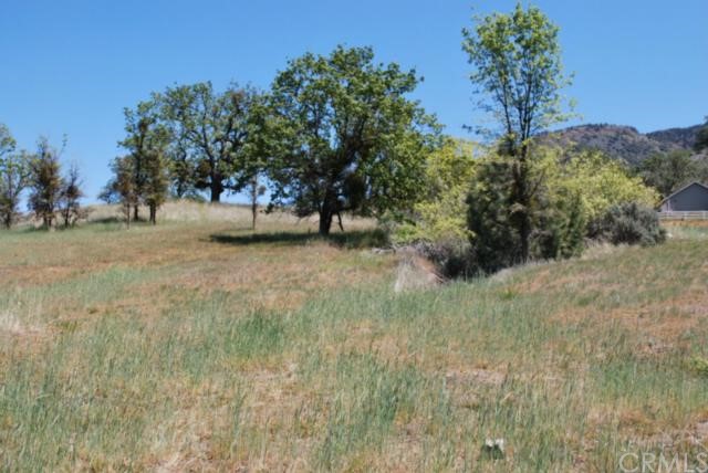 0 Bold Venture Tehachapi, CA 93561 - Photo 1 of 1