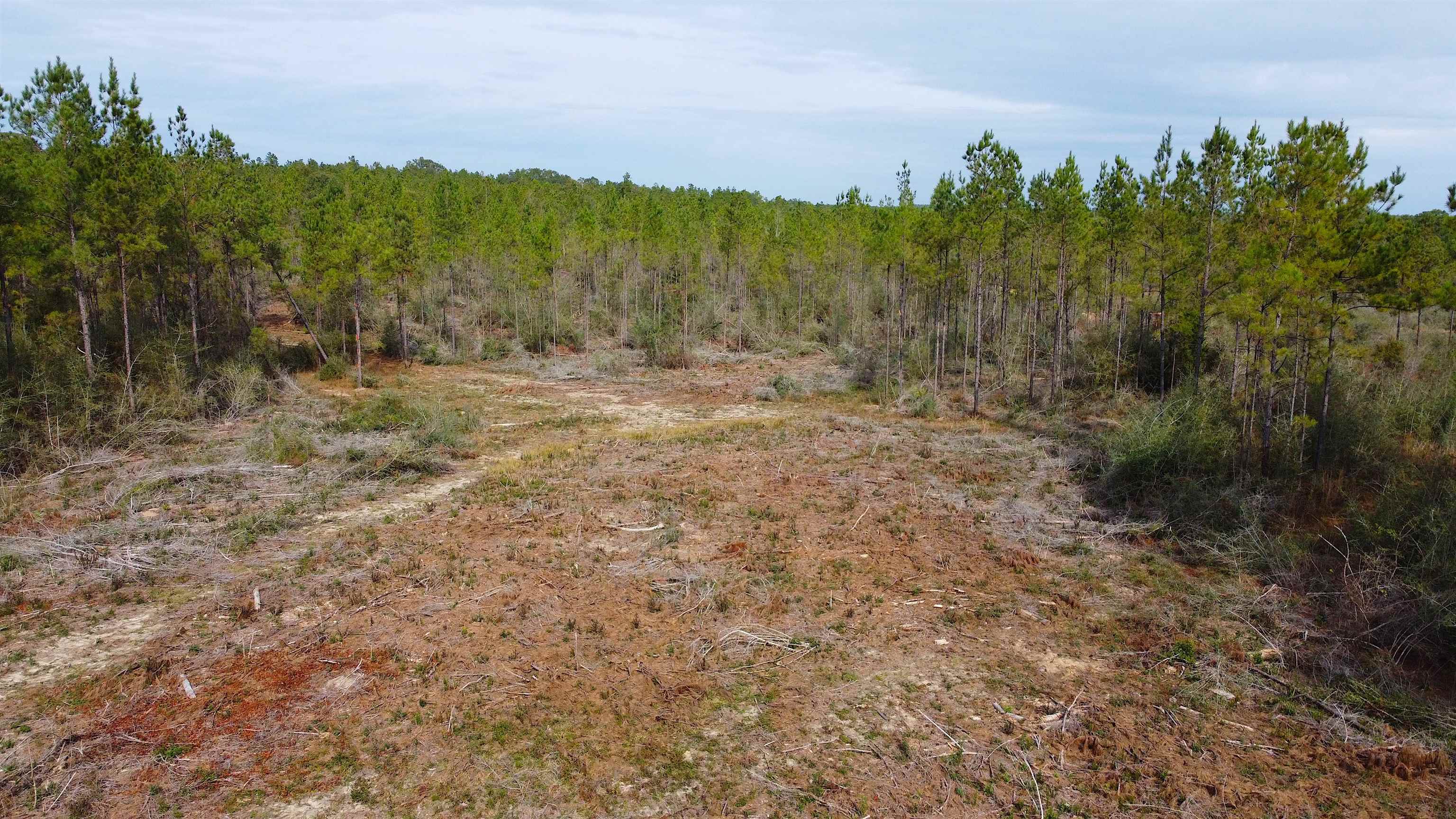 26641 Linholm Road Robertsdale, AL 36567 - Photo 2 of 8 View