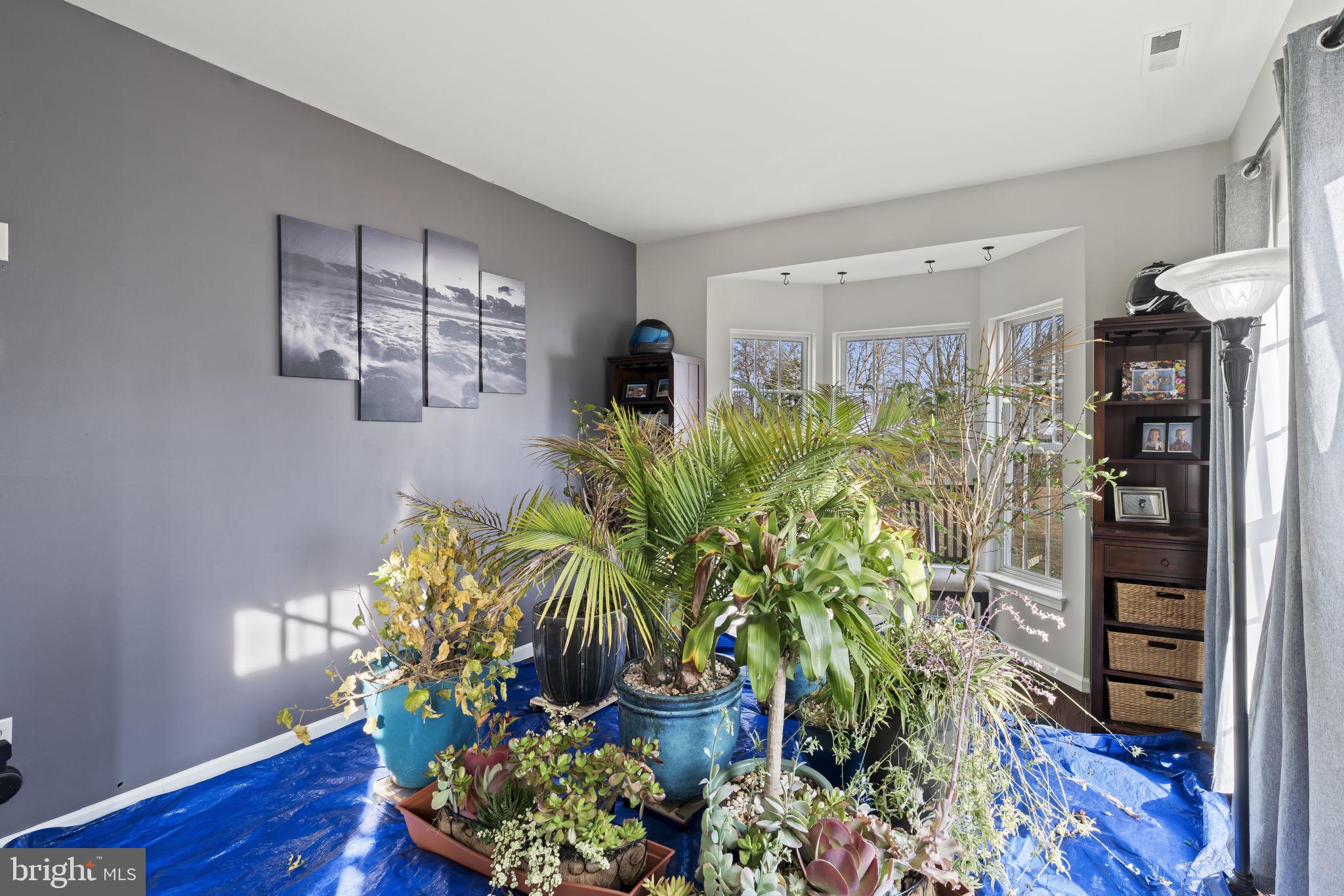 5 Panama Court Carneys Point, NJ 08069 - Photo 7 of 36 a room with potted plants and wooden floor
