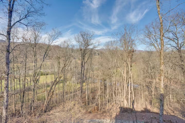 38 Smokey Mountain Ridge Marble, NC 28905 - Photo 42 of 44