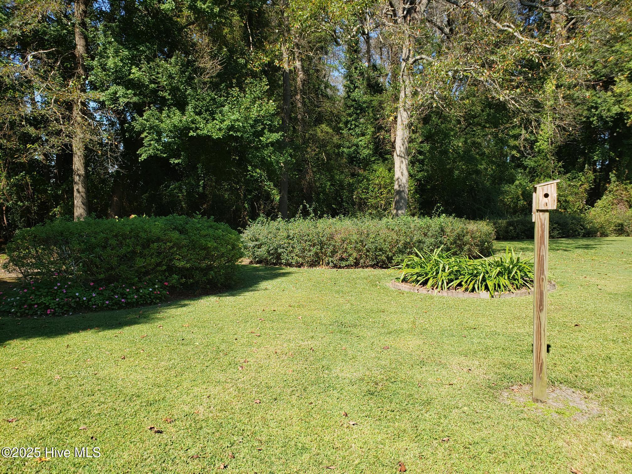 7135 Fate Road Lucama, NC 27851 - Photo 33 of 33 ROOMY BACK YARD!