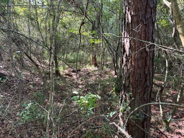 30-ac Union Grove Road Opp, AL 36467 - Photo 7 of 25 Gallery Image 7