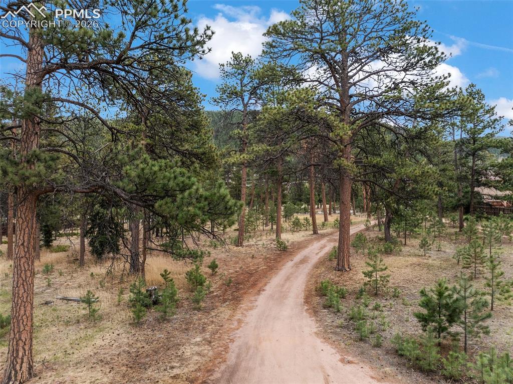 1100 Rampart Range Road Woodland Park, CO 80863 - Photo 49 of 50