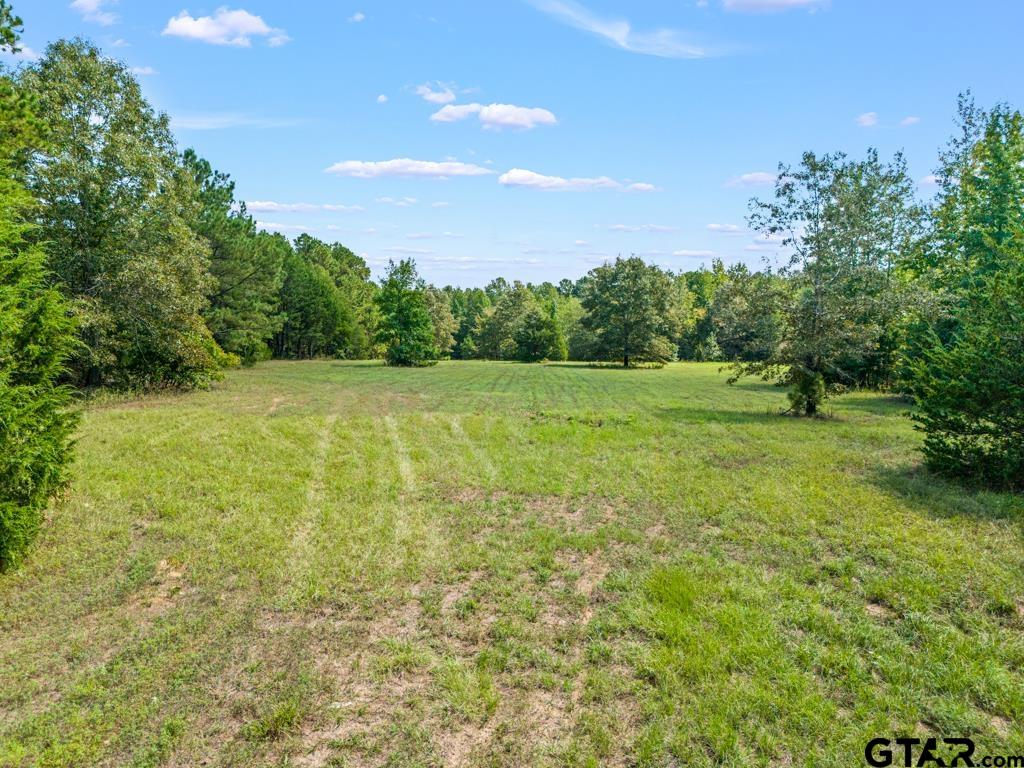 Tbd Scrub Pine Road Big Sandy, TX 75755 - Photo 5 of 14 Gallery Image 5