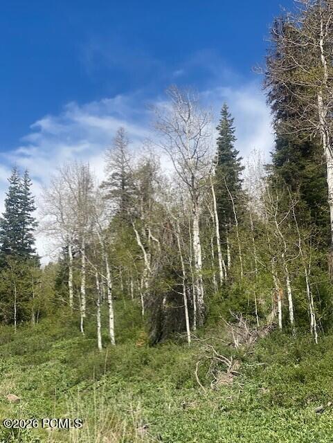 1798 West Alexander Canyon Road Coalville, UT 84017 - Photo 13 of 13