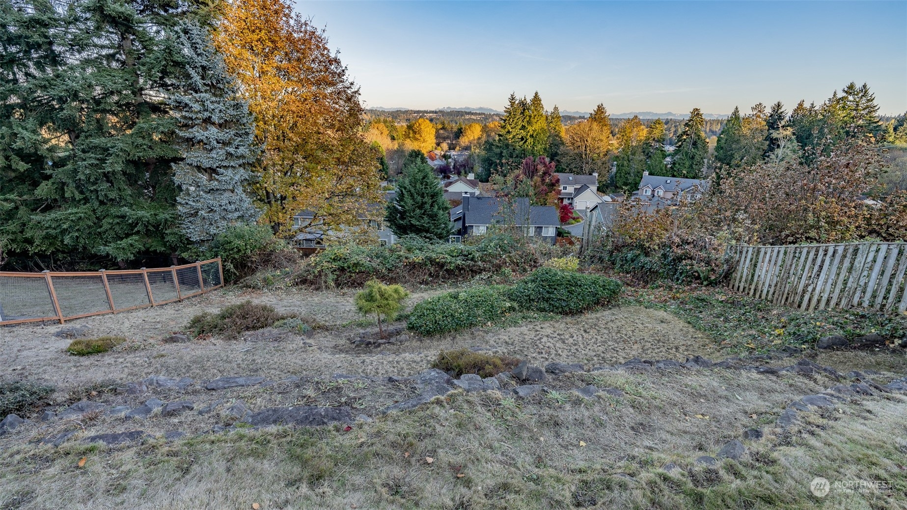 22527 4th Avenue Southeast Bothell, WA 98021 - Photo 30 of 40 a view of a yard with a tree