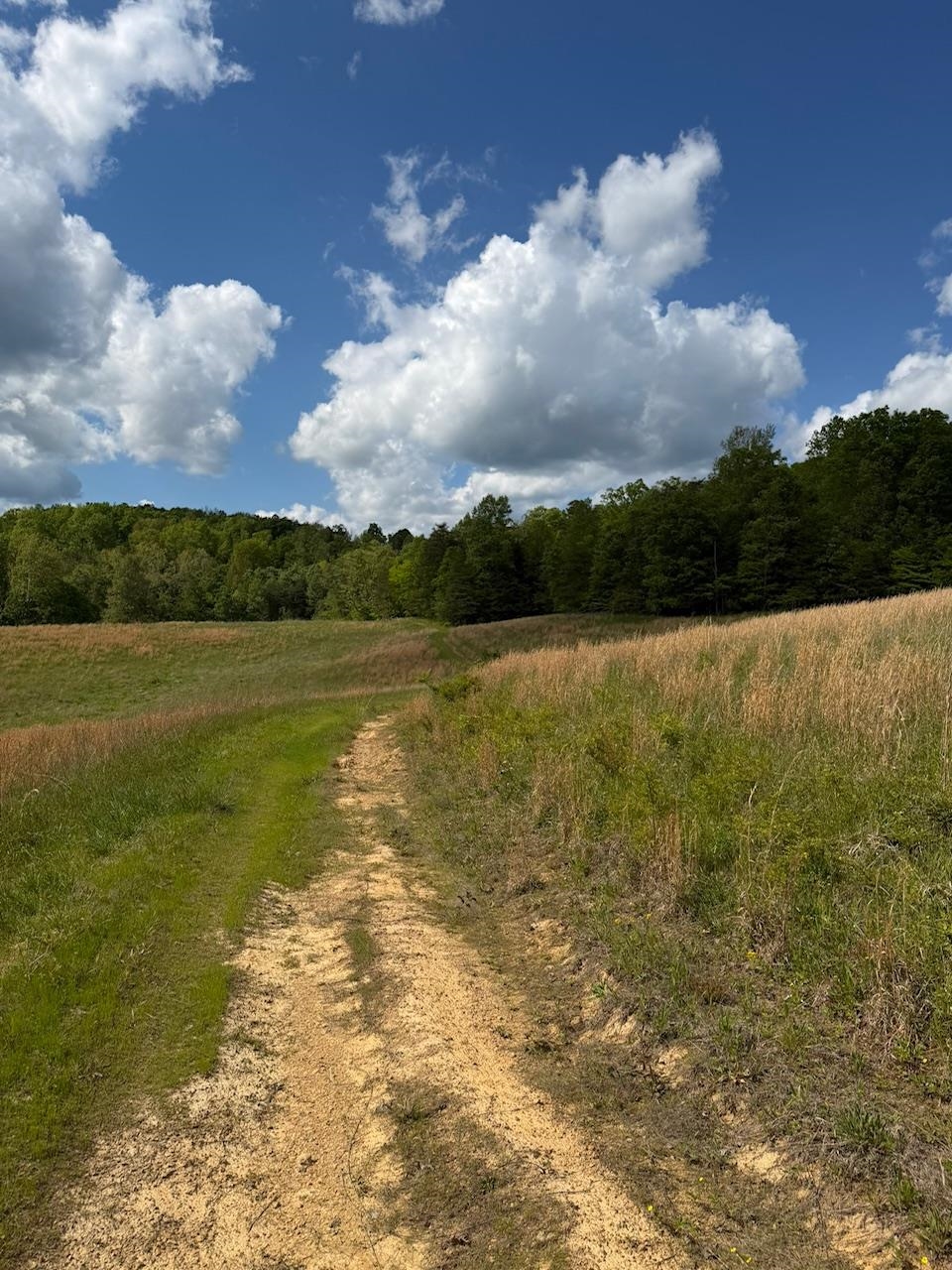 2395 Stringtown Road Sandy Hook, KY 41171 - Photo 2 of 13