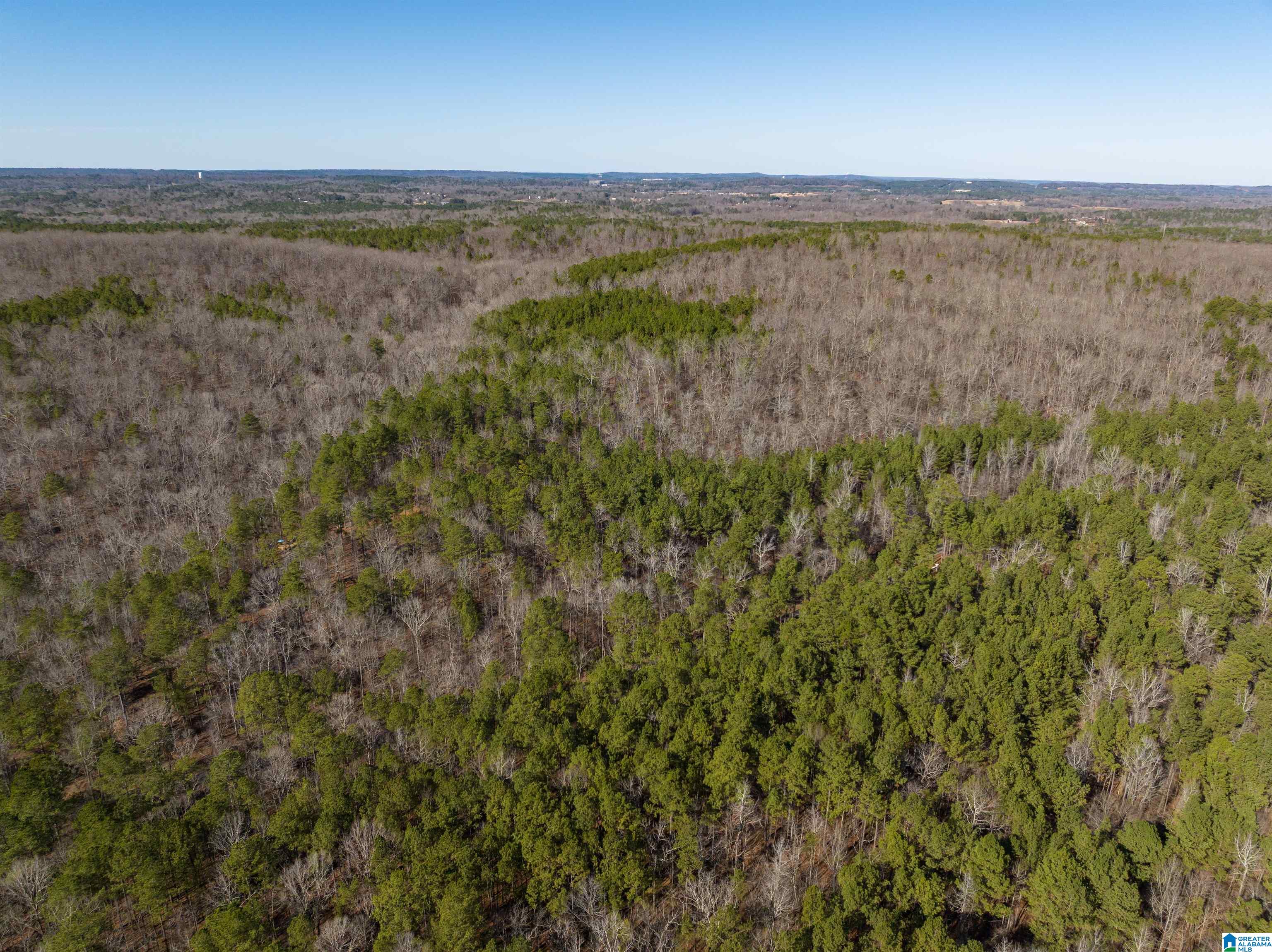 3659 McClendon Chapel Road, Unit 2 Bessemer, AL 35022 - Photo 19 of 44