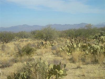 12810 Big Valley Road Tucson, AZ 85736 - Photo 1 of 2 Gallery Image 1
