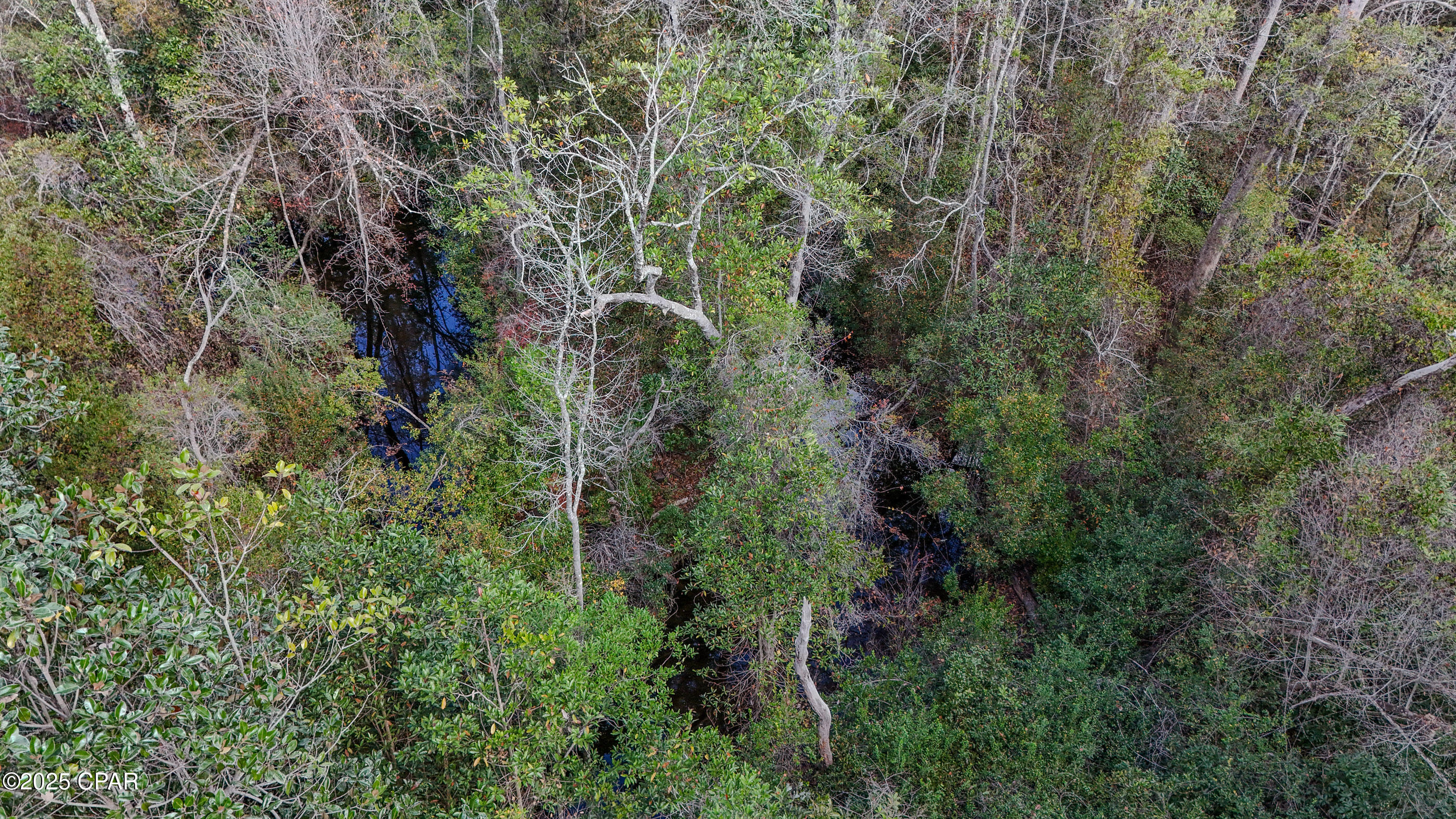 12299 Nona Wood Road Fountain, FL 32438 - Photo 16 of 21