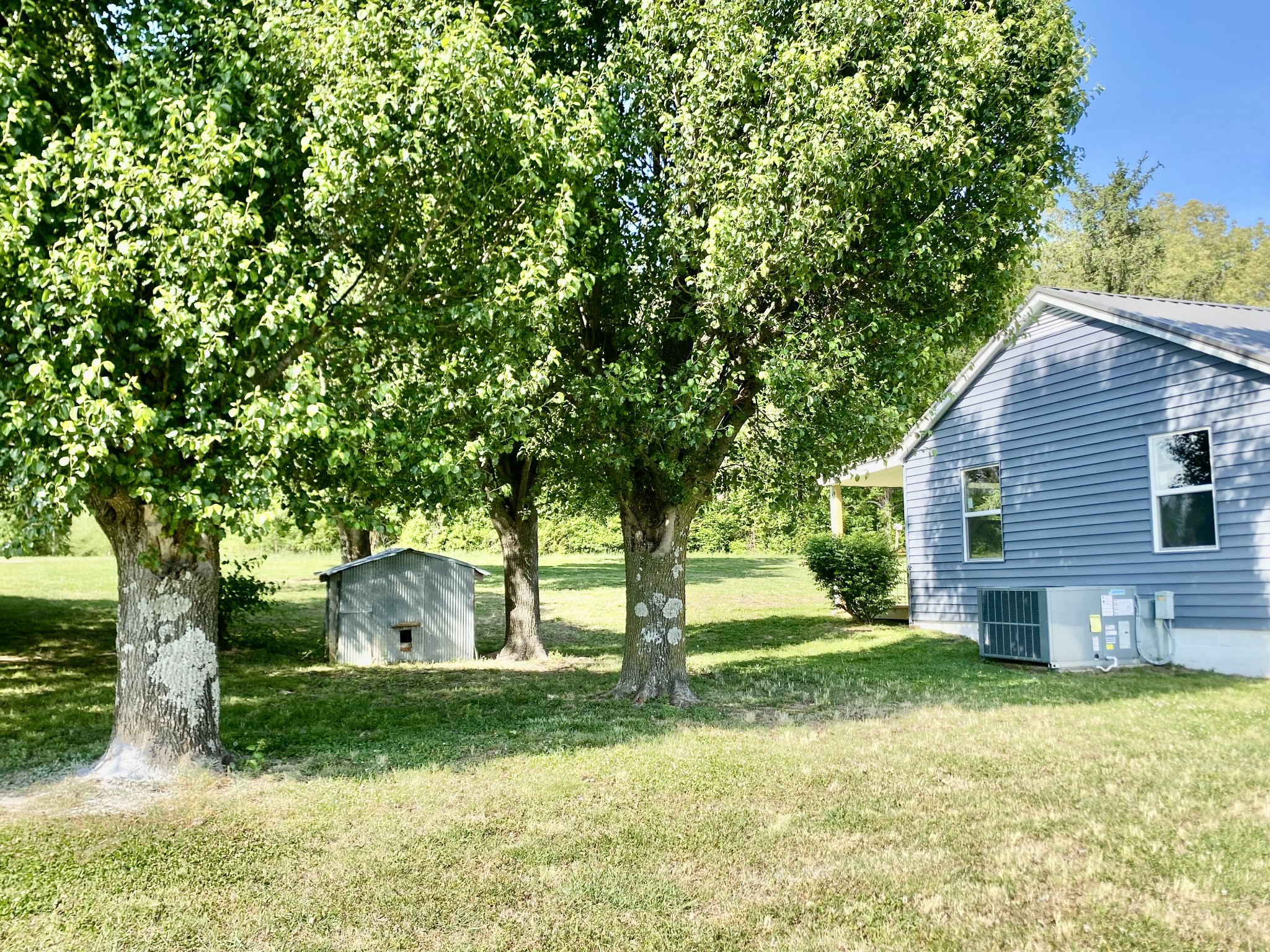 2471 Smartt Station Road Morrison, TN 37357 - Photo 35 of 38 a view of backyard with wooden fence and a large tree