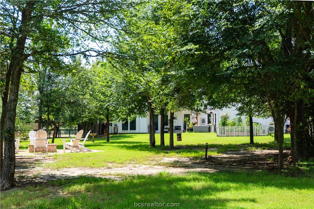 5036 Glory Road Bryan, TX 77808 - Photo 8 of 50 Acreage and trees