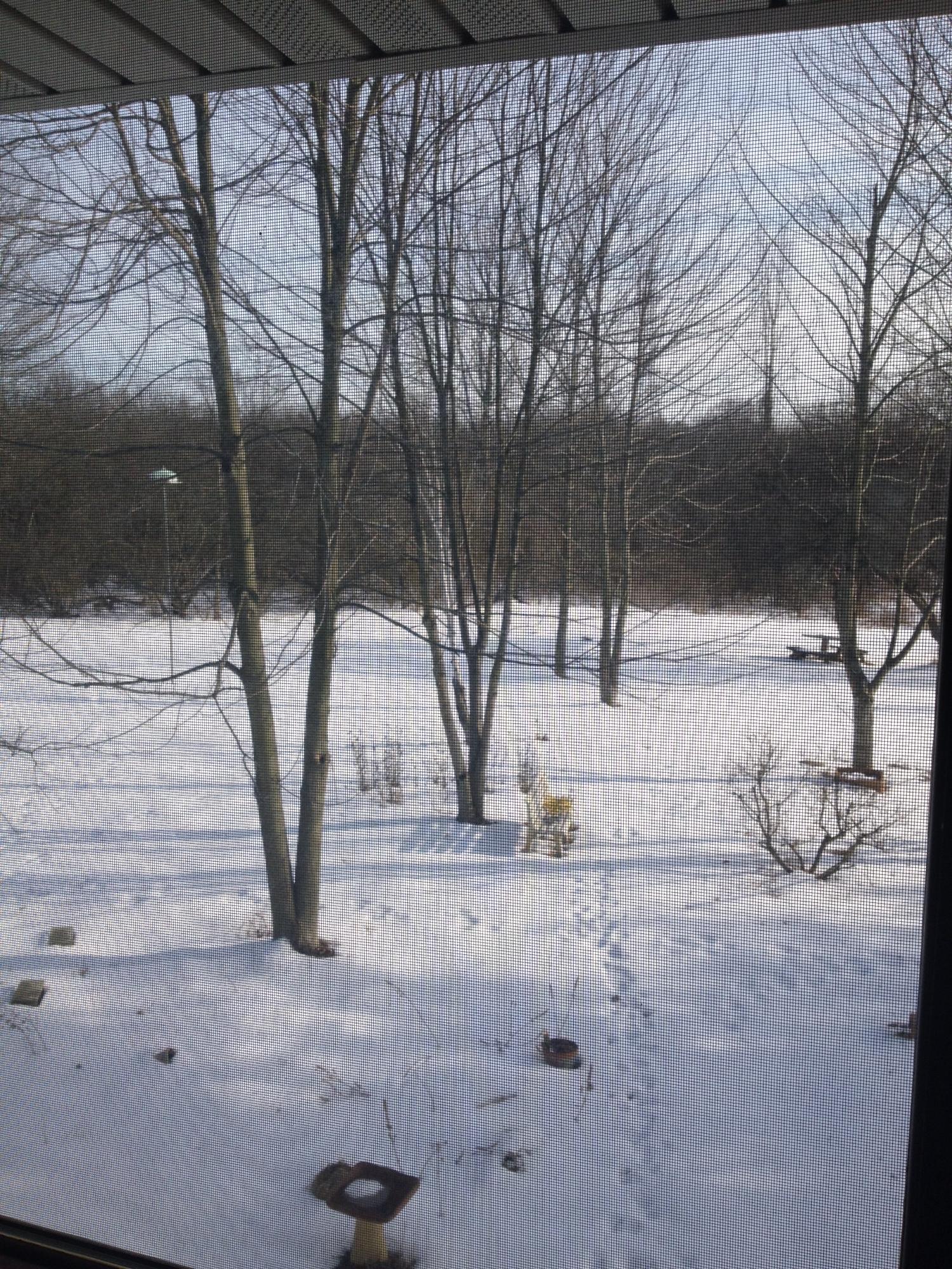 8379 Riverside Drive Powell, OH 43065 - Photo 9 of 10 Gallery Image 9