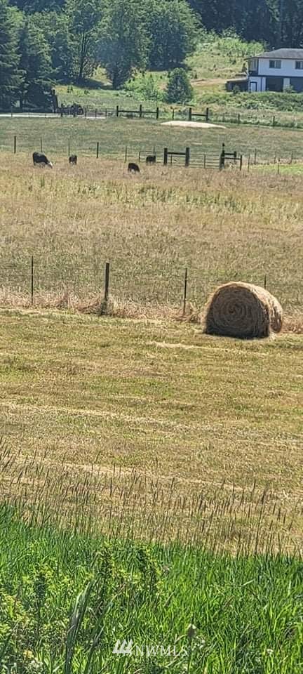 1682 North Fork Road Chehalis, WA 98532 - Photo 23 of 38 Gallery Image 23