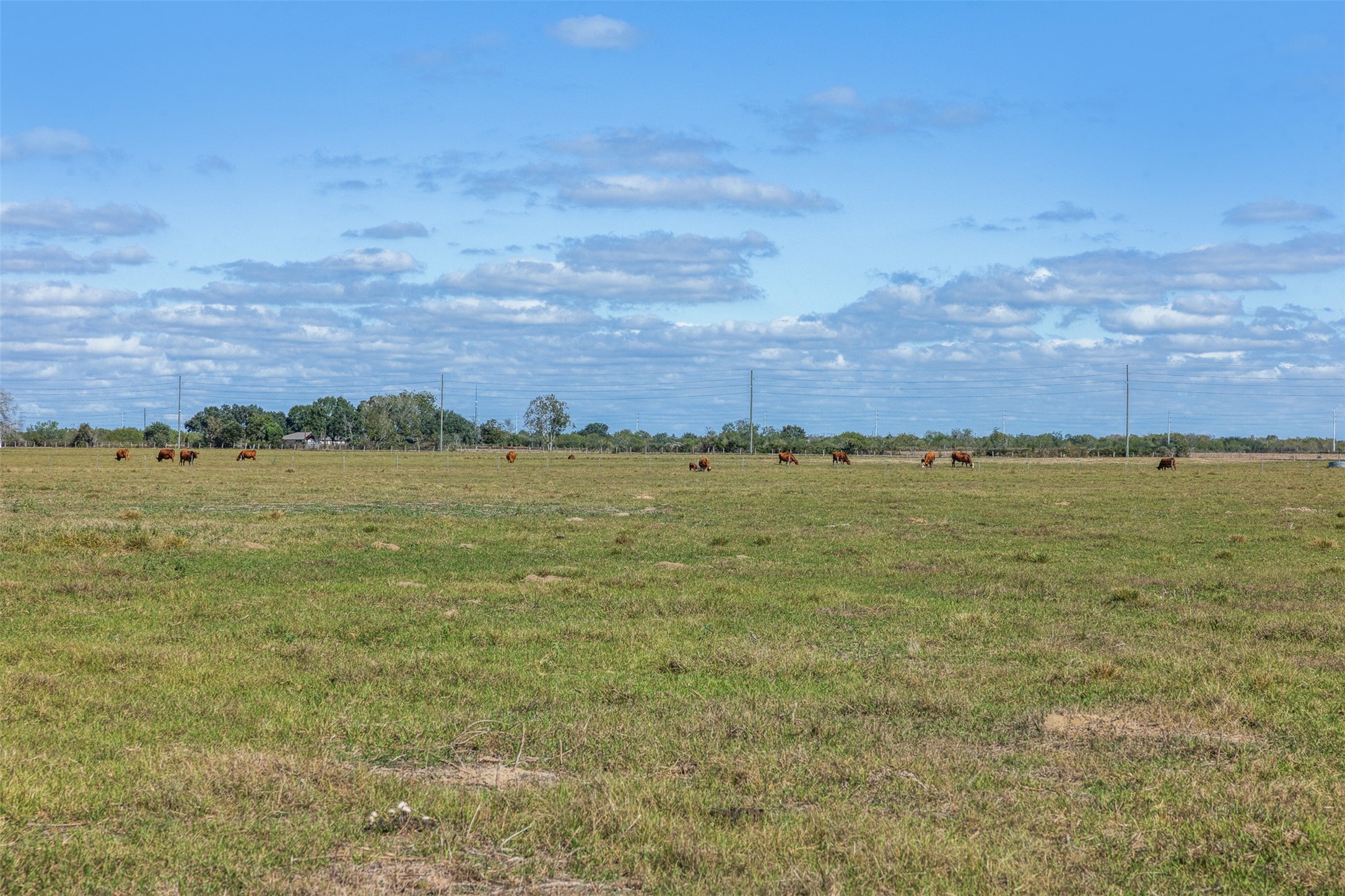 Tbd Johnston Road Wallis, TX 77485 - Photo 11 of 25 a view of an ocean